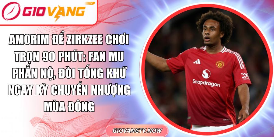 Amorim Để Zirkzee Chơi Trọn 90 Phút: Fan MU Phẫn Nộ, Đòi Tống Khứ Ngay Kỳ Chuyển Nhượng Mùa Đông