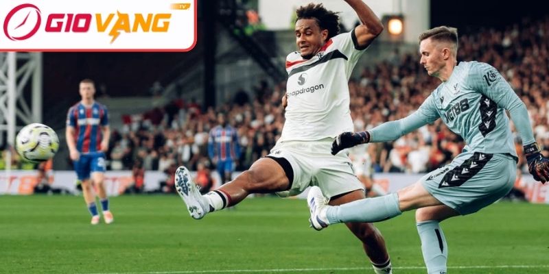 Thông tin lực lượng Crystal Palace vs Manchester United (19:00 ngày 30/11)