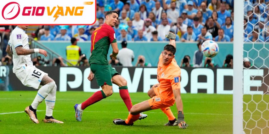 Phân tích hiệu suất theo tips bóng đá
