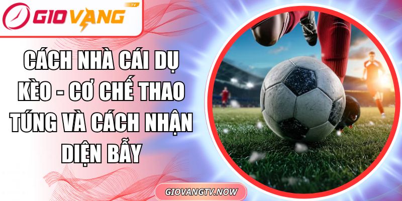 Cách nhà cái dụ kèo