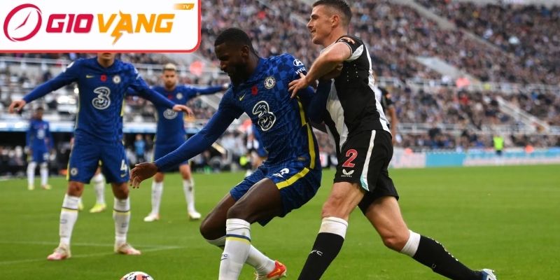 Thông tin lực lượng Newcastle United vs Chelsea (19:30 ngày 20/12, Premier League)