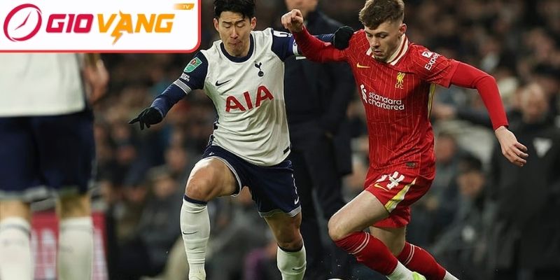 Thông tin lực lượng Tottenham Hotspur vs Liverpool (00:30 ngày 21/12, Premier League)
