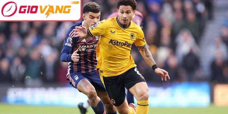 Thông tin lực lượng Wolverhampton vs Nottingham Forest (02:30 ngày 04/12)